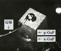 写真１／ガリウムりん（ＧａＰ）ダイオードの外観