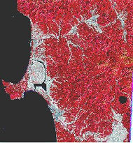 図１／ランドサット衛星から見た秋田県